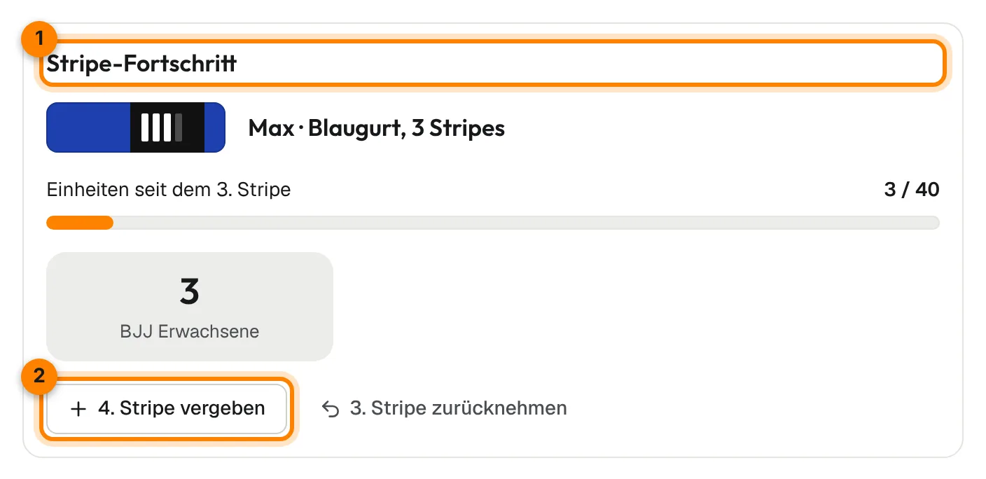 Stripe-Fortschritt eines Mitglieds